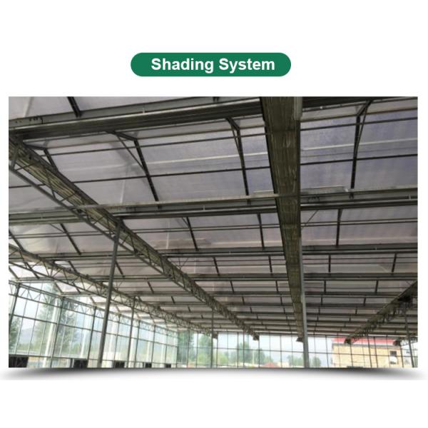 Greenhouse Multi Span Agriculture Polycarbonate Greenhouse for Optimal Air Flow