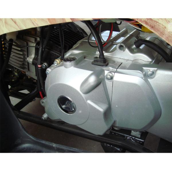 Single Cylinder 110cc Atv Quad Bike SHINERAY 4 Stroke With Rear Rack