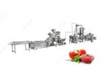 1T/H Industrial Tomato Paste Processing Machine Equipment Tomatoes Paste