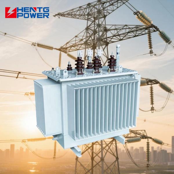 Quality Mv Hv Oil Immersed Transformer 315kVA To 630kVA 3 Phase Distribution Transformer 60Hz for sale