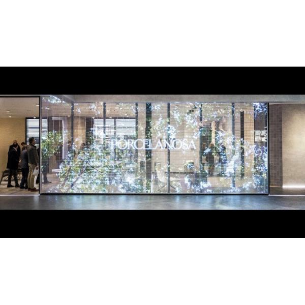 Customized HD Transparent LED Display Full Color Easy Maintenance Soft Convenient