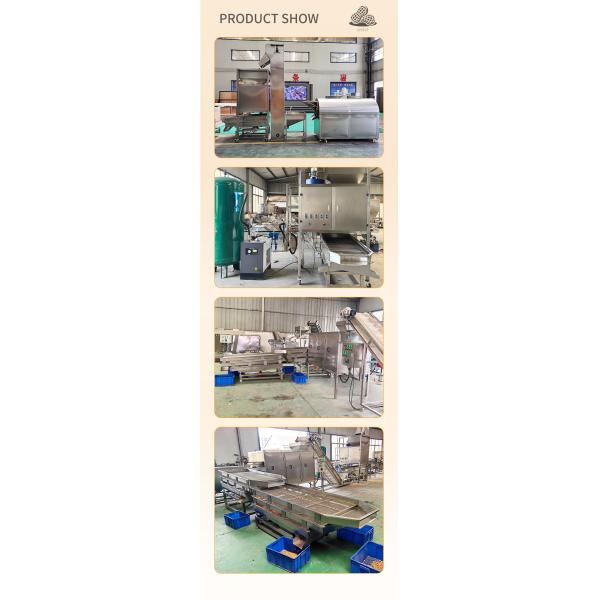 Automatic High Efficiency Japanese Beans Coating Roasting Production Line Snacks Coated Peanut Making Machine