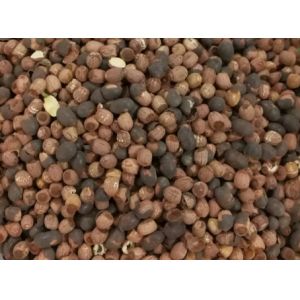 8 Chutes Lotus Seed Separator Machine With High Throughput