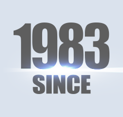 Cigs Solar Panel 330w Pv Module 340wp 350watts Hot Sale Best Price for Solar Home System