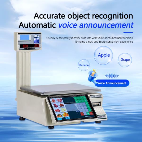 Maximum Range 30kg Intelligent Bar Code Table Scale SHW-TMF6 with 10/7 Inch Display