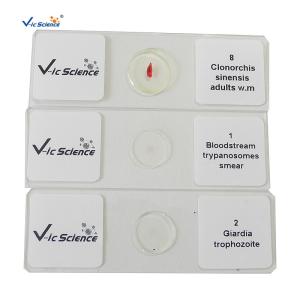 Buy cheap Specimen Medical 50pcs Set Parasite Microscope Slides 1.2mm product