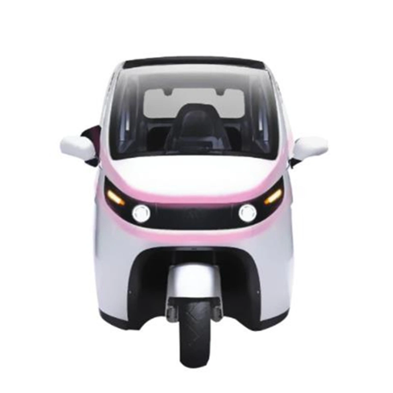 China Factory Directly Supply Cheap Price Electric Vehicle Low Speed Three Wheel Electric Car with EEC