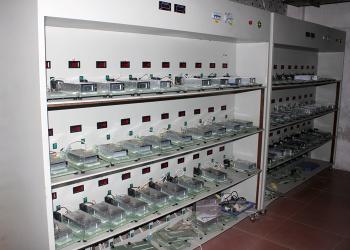 Shenzhen Wenjiexin Electronics Co.,Ltd.
