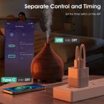 Tuya Smart WiFi Mini Power Adapter Portable 5V Micro USB & Type-C Charger Plug