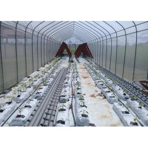 UV Protection Small Polycarbonate Greenhouse Mini Tunnel Greenhouse With Rust Proof Frame
