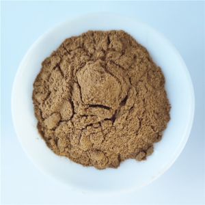 Buy cheap Water Soluble Cinnamon Extract Powder In Bulk product