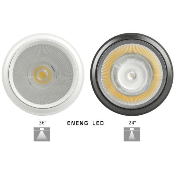 high lumens E2712W dimmable led par30 spot light with cob led led par30 light Track lamp to Replace 45W metal halide