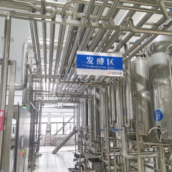 Full Automatic Yogurt Production Equipment , 2000L - 20000LPH Industrial Yogurt Machine