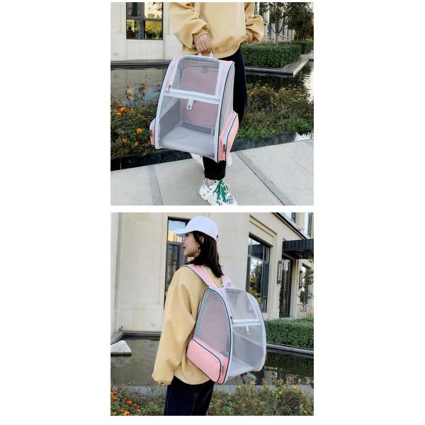 Semi Circle Pet Backpack Carriers Extendable Collapsible Cat Carriers OEM With Safety Straps