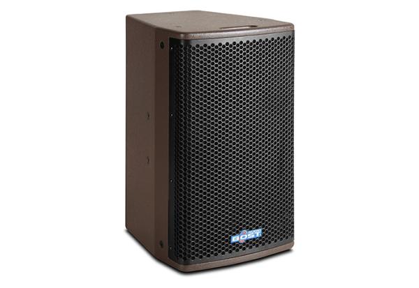 Quality 10 inch professional PA speaker system BL-10 for sale