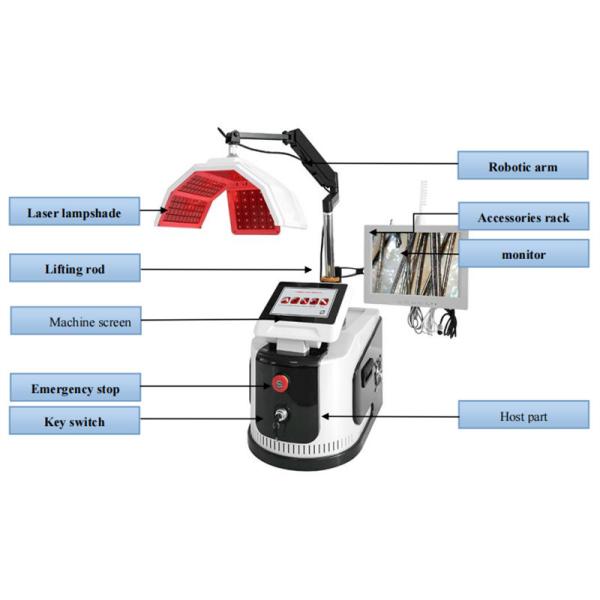 Scalp Care PDT LED Light Therapy Machine , Laser Hair Growth Machine With Analyzer