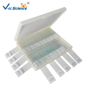 100 pcs Biological Histology Lab Slides Prepared Microscope Slides Bacteria