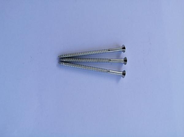 Passivated Stainless Steel Self Tapping Screws Fastenal 11X70