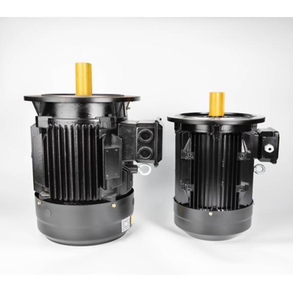 Frequency Conversion 100kw Permanent Magnet Motor PM OEM ODM