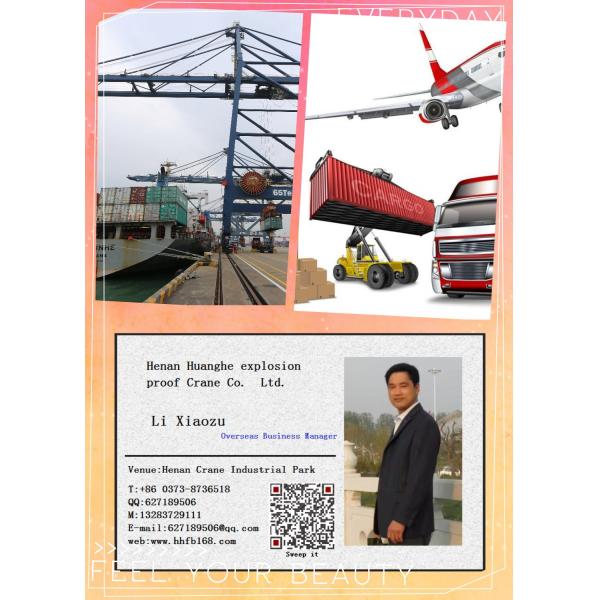 China's high-quality and low-cost explosion-proof hanging electric single beam crane, hanging crane supplier, 2T single