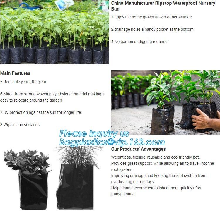 customized waterproof green pe car protector,environmental firendly, car boot liner, reusable, durable,economical,sample
