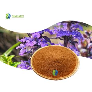 Ajuga Turkestanica Extract (turkesterone)