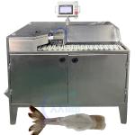 Fully Automatic Shrimp Shelling And Gutting Machine Efficient Shrimp Shell