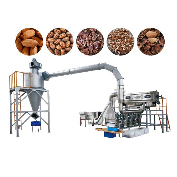 Intelligent Nuts Processing Machine 380V 50Hz For Pecan