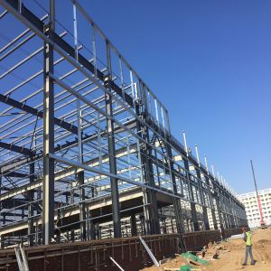 Prefabricated Steel Structure Plant Q355 Q235 Erection Maize Processing Mill