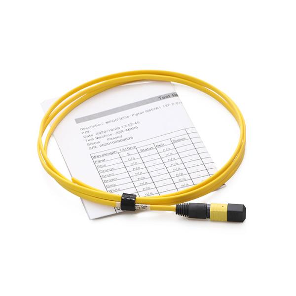 1m MPO MTP Network Patch Cord For Data Center Cabling