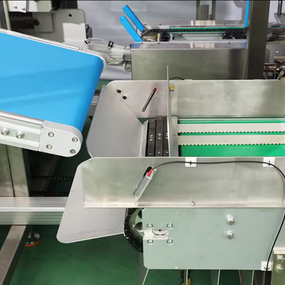 1.5kW Plastic Bag Carton Packer Machine Corrosion Resistant Pouch Case Packer