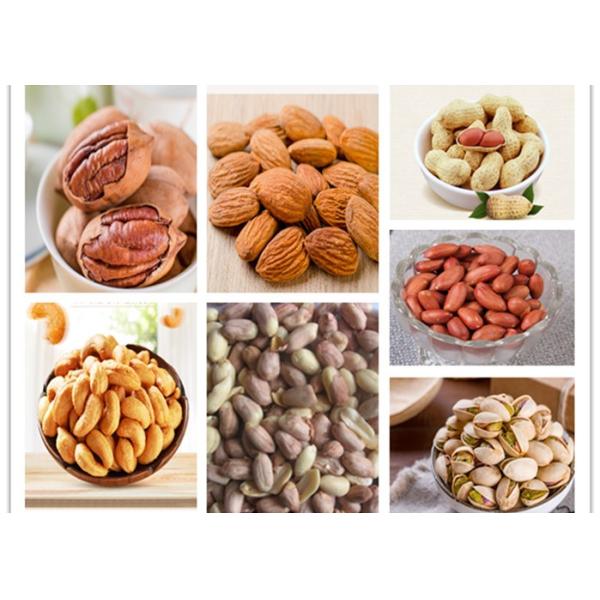 Macadamia Sesame Nut Roasting Machine Big Capacity 7600*3500*4200mm Size