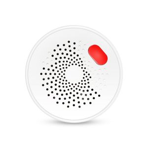 GR-GS400T-1 WIFI TUYA Gas Detector