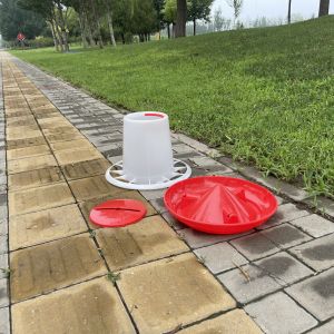 Automatic Poultry Water Feeder With Durable Plastics Accessories