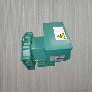 Buy cheap 3 Phase Alternators 110-240V Air-Cooled Brushless IP23 product