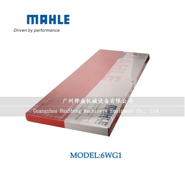 6WG1 Direct Injection Engine Gasket Kit 5-87816456-1 For ISUZU SH