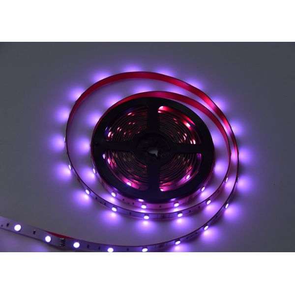 Programmable 12V 5m 30LEDs/M Led Bluetooth Strip Lights