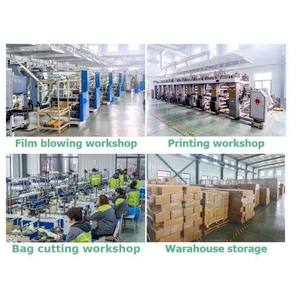 Flexiloop Handle Compostable Mailing Bags Easy to Carry and Environmentally Friendly