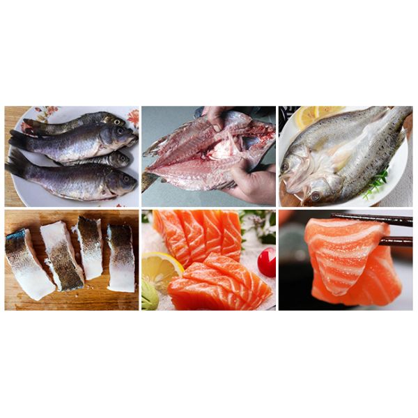 380v / 220v Voltage Fish Washing Machine 2.2 - 3.0kw Power 2 Year Warranty