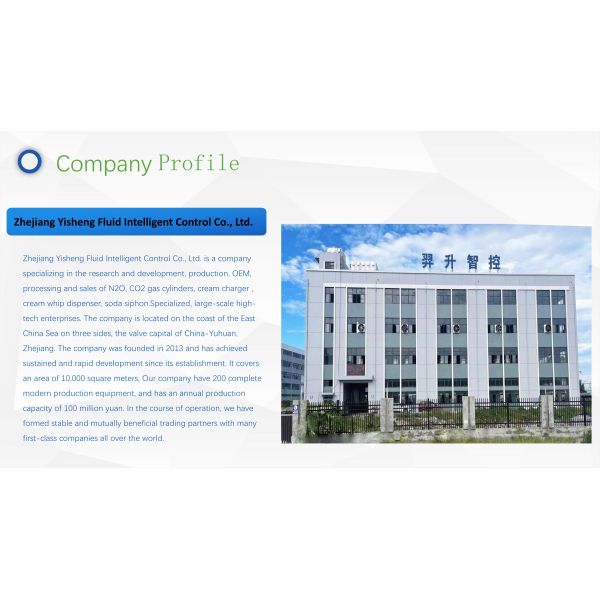 Steel 99.999% Purity 8g Cream Charger Safe Dessert Tool