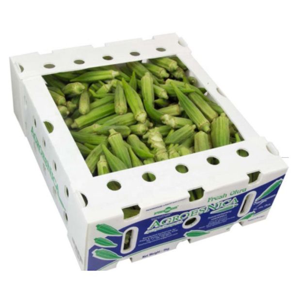 Corflute Recycled Fruit And Vegetable Packaging Boxes Polypropylene