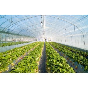 High Efficiency Customized Insect Mesh Netting 80% Windbreak Value