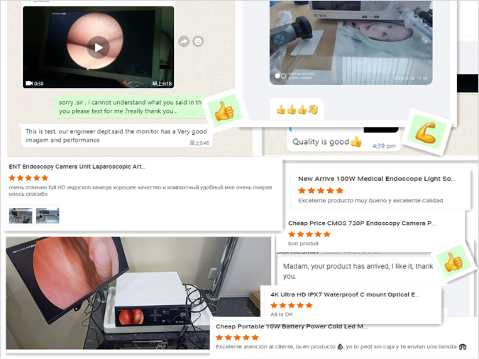 Portable Flexible Endoscope Video Camera For Small Animal Gastroscope And Colonoscope