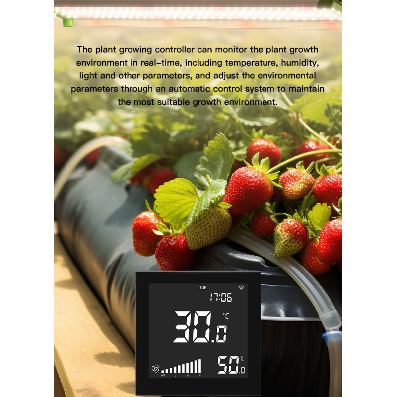 Wall Mounted Greenhouse Controllers humidity Temperature Controller For Smart Farming