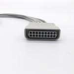 12-lead (snap) Patient Cable for ST80i – 989803180141
