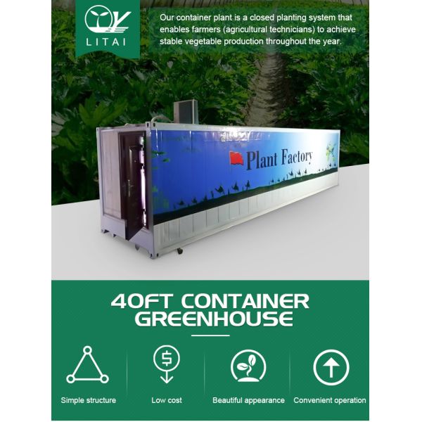 Hydroponic Smart Farming Container Greenhouse for Agriculture 40ft Container