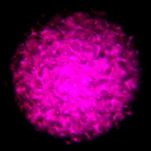 IP65 100W Water Wave Rainbow Effect LED Projector Lights