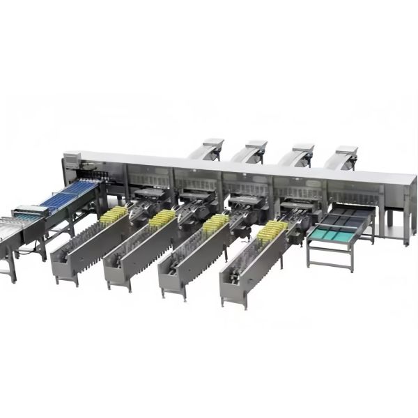 Chicken Egg Shell Removal Machine 10000pcs/h Automatic Chicken Egg Peeling Machine