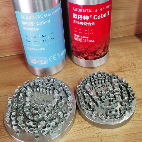 Cobalt Chrome Dental 3D Metal Print Laser Melting SLM Dental 3D Printing