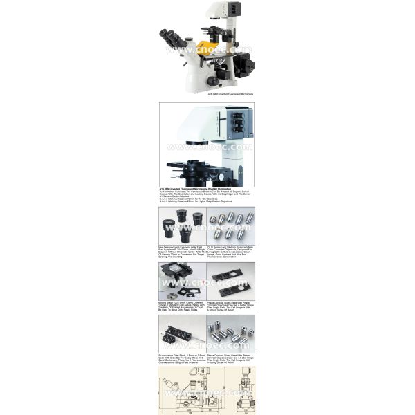 Corrected Optical System Inverted Flourescence Microscope , Kohler A16.0900